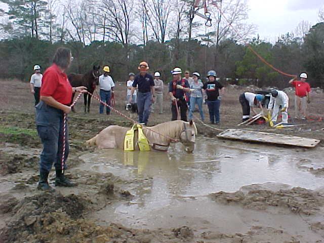 LART-Mud1.jpg (50759 bytes)